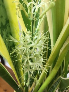 216326BE-CE7A-41E1-AF0F-FB547268233D