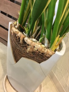 63E44A75-316B-424D-A6E7-9366519C0D51