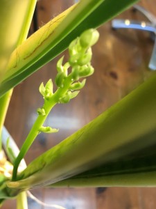 79FF23BC-69F5-49F3-900F-0248FC6D78EC