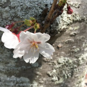 7FF92179-4ED9-46BD-9210-81C5D782B383