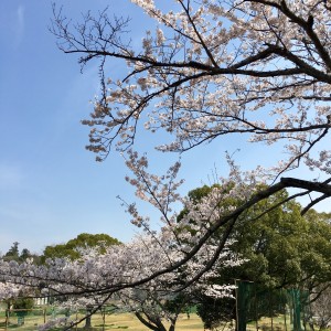 BD7A0329-41EC-44A4-9854-8F769703CB41