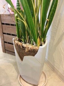 F5484DF4-3389-4712-8871-35DD9ADC14C0