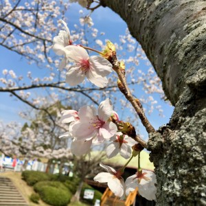 F9F48B46-0BCC-4604-A9C0-05D70FD32312