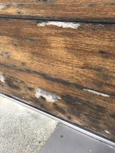 04010EFA-02D5-4003-8C8C-6FA6CB016587