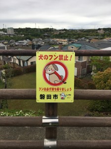 0A1FD762-C977-4713-8B92-4DFD0C33AA77