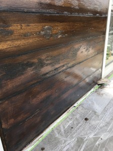 1FAA8F49-CFB6-40AB-BBE8-394BB12A5558