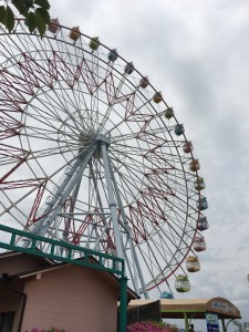 DD1BEDAA-F3A7-487C-AE09-8F7AA8172FC4