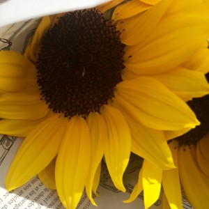 EE797DC1-A666-431A-ABA0-A6FD3A71EFED