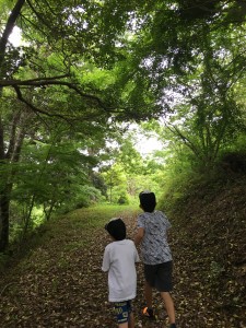 4635C916-3EAE-4E66-ADA8-9BC1E70B2D4D