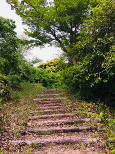 7DC10249-48A3-488B-8CCA-9B13BEC17883