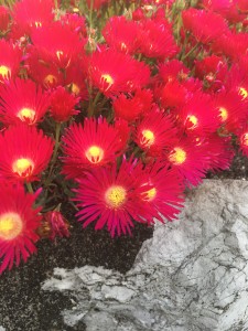 895DAF70-D76E-427B-AB87-B482701264FC