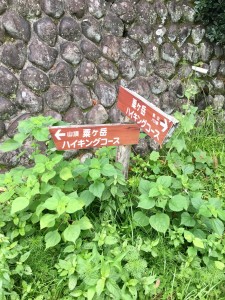 0DF3A666-ED18-4FCB-872F-FE3F72E270B4