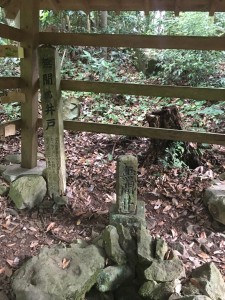 316CB6D6-DE8A-4683-A2DE-455A8C4DA9BE