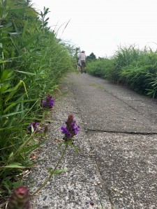 4E3C27FD-3DF3-4DCA-BB0E-D20548A3DEAB