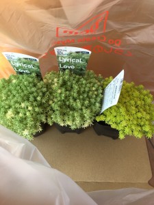 8778E806-53E5-4ED2-9CE6-481D82244AA3