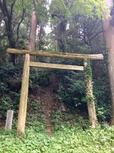 B69C7807-10D5-4401-9A82-644871B52457