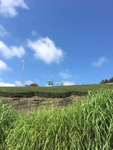 C73556F2-B4D8-4E3F-AF8C-1C1010C85E4A