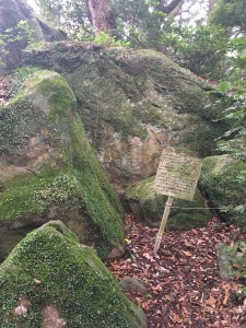 C8DFBC1C-3E0A-40C3-BFF7-E090E396D602