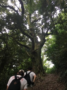 C9C6D1C2-B85E-4215-B725-8C0B5188FA91