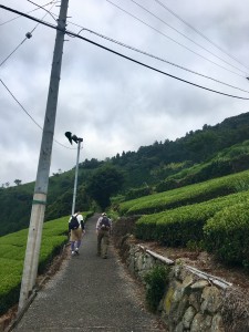 D291199B-8755-4707-BEE4-4CDAC33F0C09