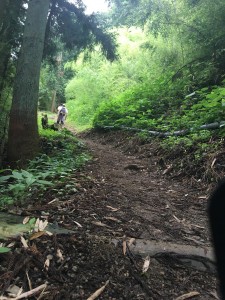 E4F2EDED-41B2-44DA-AF80-30C38D15EEA4