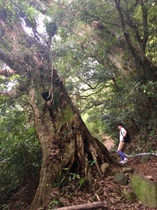 F093FC04-3556-41F5-A66D-F96E4211DE1C