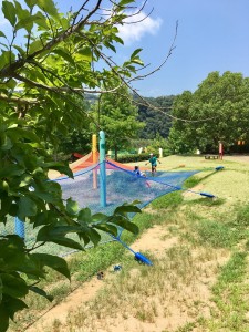 2CFFC980-0C2A-4C2C-993B-C26F54186620