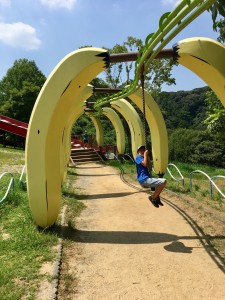 EC36EEA7-C9B8-4C71-B165-14C4EA017E12