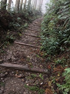 01AFAF39-EEDA-4B76-AD66-DC4BF99B1290