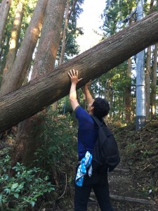 3F47A7AF-0F9F-4278-80CF-7DCA1DFBDCC3