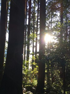 407CBA57-3C7F-4909-8293-189905EA8E28