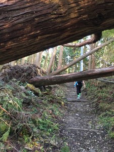 6CE3F4E5-C3A0-4F0A-A324-05D7DB76F245