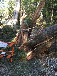 7EDF05CD-F84E-4328-9A82-0011E99FA350