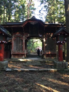 93A2D079-352C-4E9E-8360-BA5B5C01D989