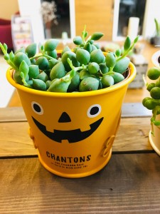 9C762DF6-789A-455D-B0AA-447A33CDCF2E