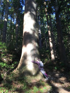 BD495185-1754-4904-AC92-70035145E207