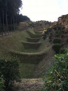 25B2520C-9B5A-4AD8-BEC7-3C7E02D31FE7