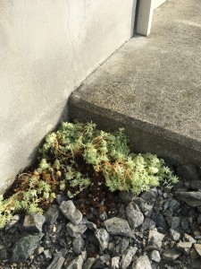 71E12F8F-65BF-4426-8A7F-E79514C1E6D0