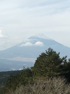 A806E043-B1E9-4C6B-A600-925F09CFB351