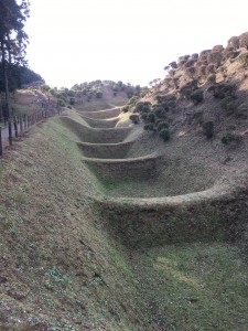 B6D48750-B17D-4BC1-B12B-3A5ACD3F8073