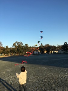 1341C223-6901-4177-9CF4-41CA1CF5CC52