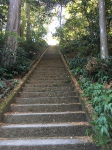 53CC294D-14EE-43B7-BEB8-D134CE12EBCA