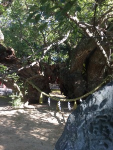 732A06A3-525C-499C-AFCB-DAD173C3625E