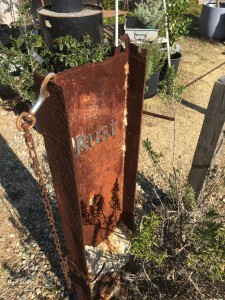 74DB3A3B-4065-44B4-9EE1-67CE86632556