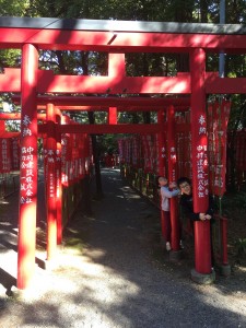 8014E039-629F-4C2C-A140-FF9722CEC17F