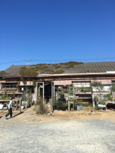 AEC3C7C5-E26A-44A1-A81E-74602DB116D9