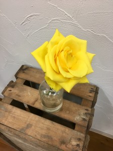 B09DF6DF-B3CF-413F-B2F3-244F8635953E