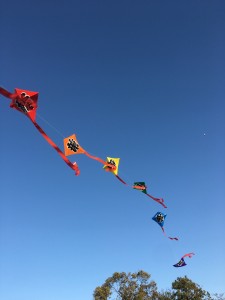 DAE92F96-E2FD-4367-8833-621E0AEE51D2