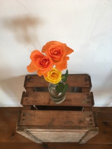 E749A3D2-2C25-4C75-9E9B-C6DBC9EAC52B