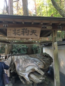 FF505058-E778-49B9-ADFD-E64922015DC0